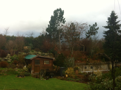 Regen in Rodgau Regen in Rodgau